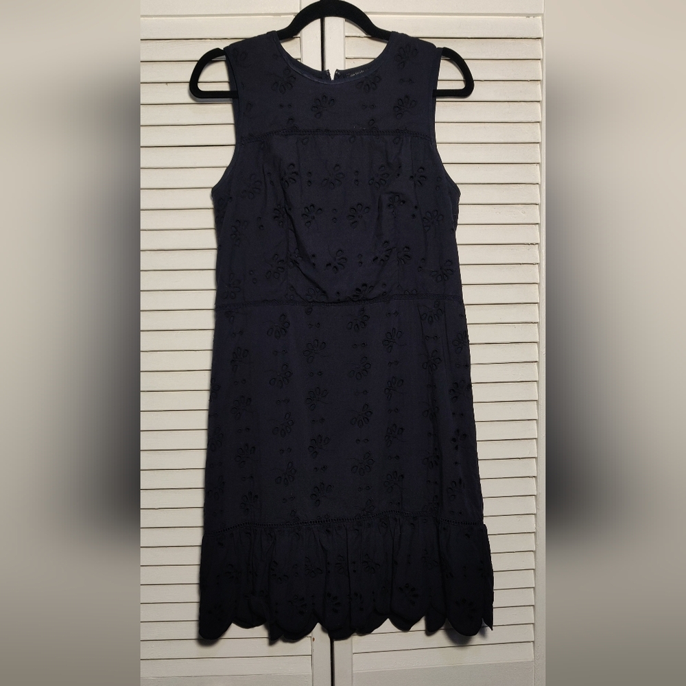 Ann Taylor Navy Eyelet Dress